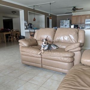 Meet your Posher, Jay